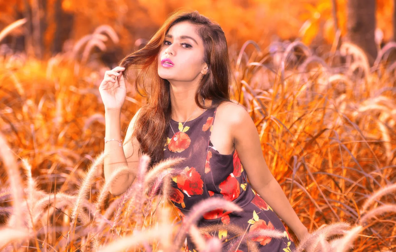 Photo wallpaper field, girl, model, Asian, bokeh, Gita Priyanka