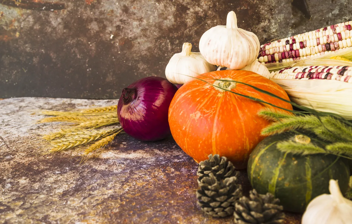 Photo wallpaper autumn, corn, bow, fruit, pumpkin