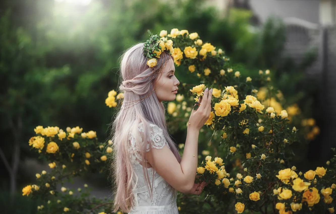 Photo wallpaper girl, pose, hair, roses, dress, wreath, Shakirova Albina