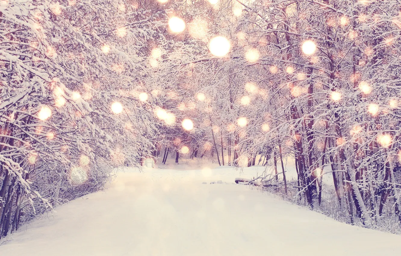 Photo wallpaper winter, snow, trees, nature, Park