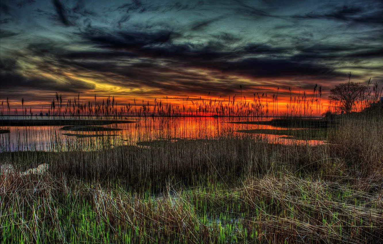 Photo wallpaper the sky, grass, clouds, clouds, lake, plant, glow