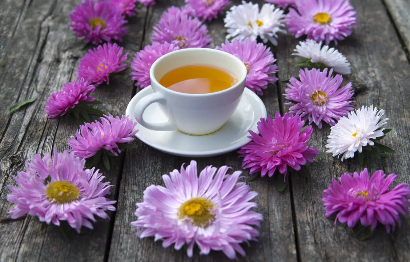 Photo wallpaper tea, Cup, asters