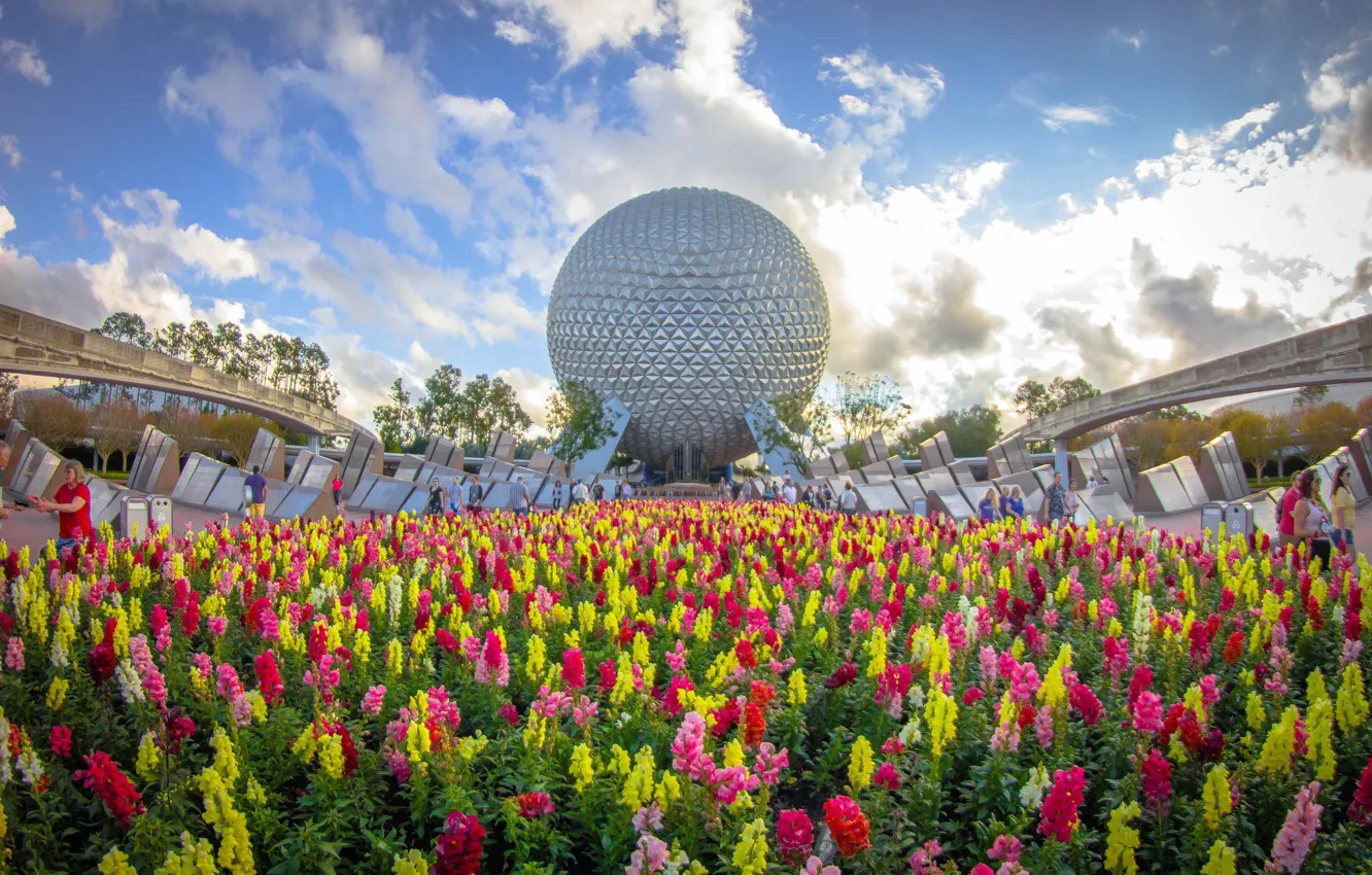 Photo wallpaper flowers, Park, balls, Disneyland, flowerbed
