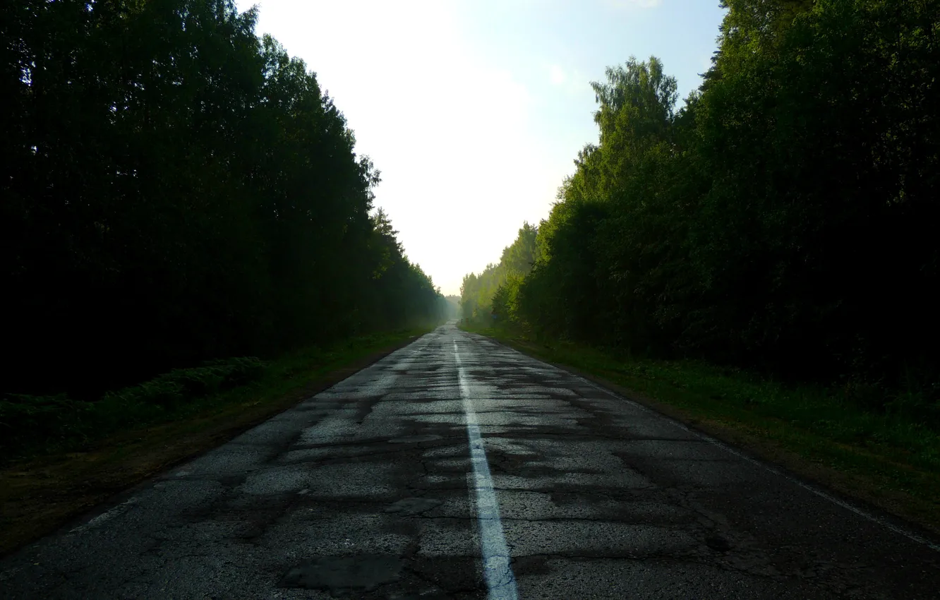 Photo wallpaper road, forest, nature