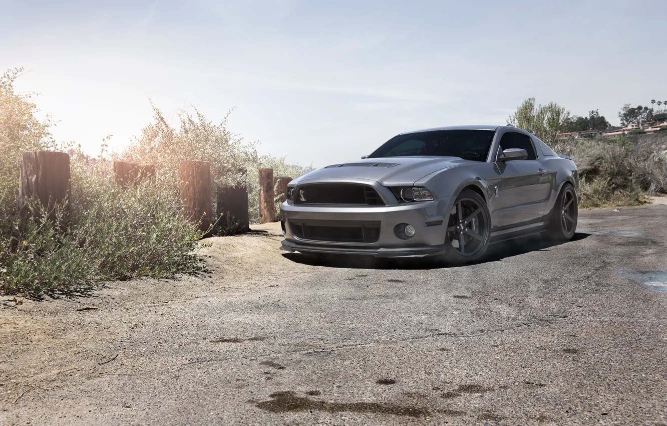 Photo wallpaper the sky, grey, mustang, Mustang, ford, shelby, Ford, front view
