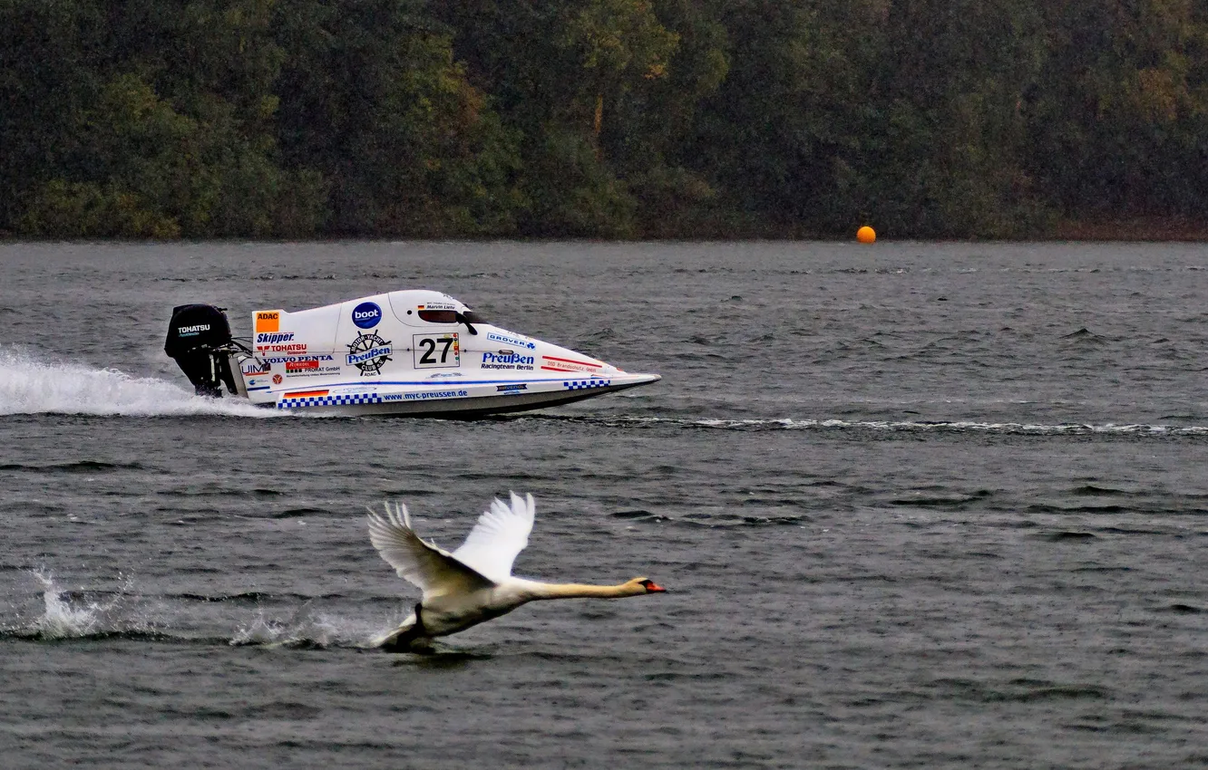 Photo wallpaper race, boat, speed