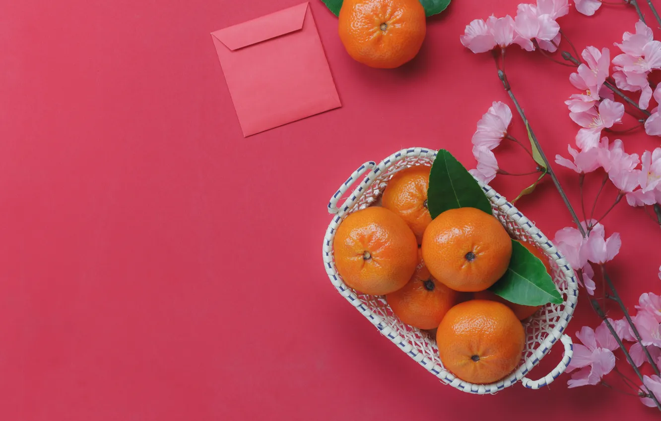 Photo wallpaper flowers, Sakura, citrus, tangerines