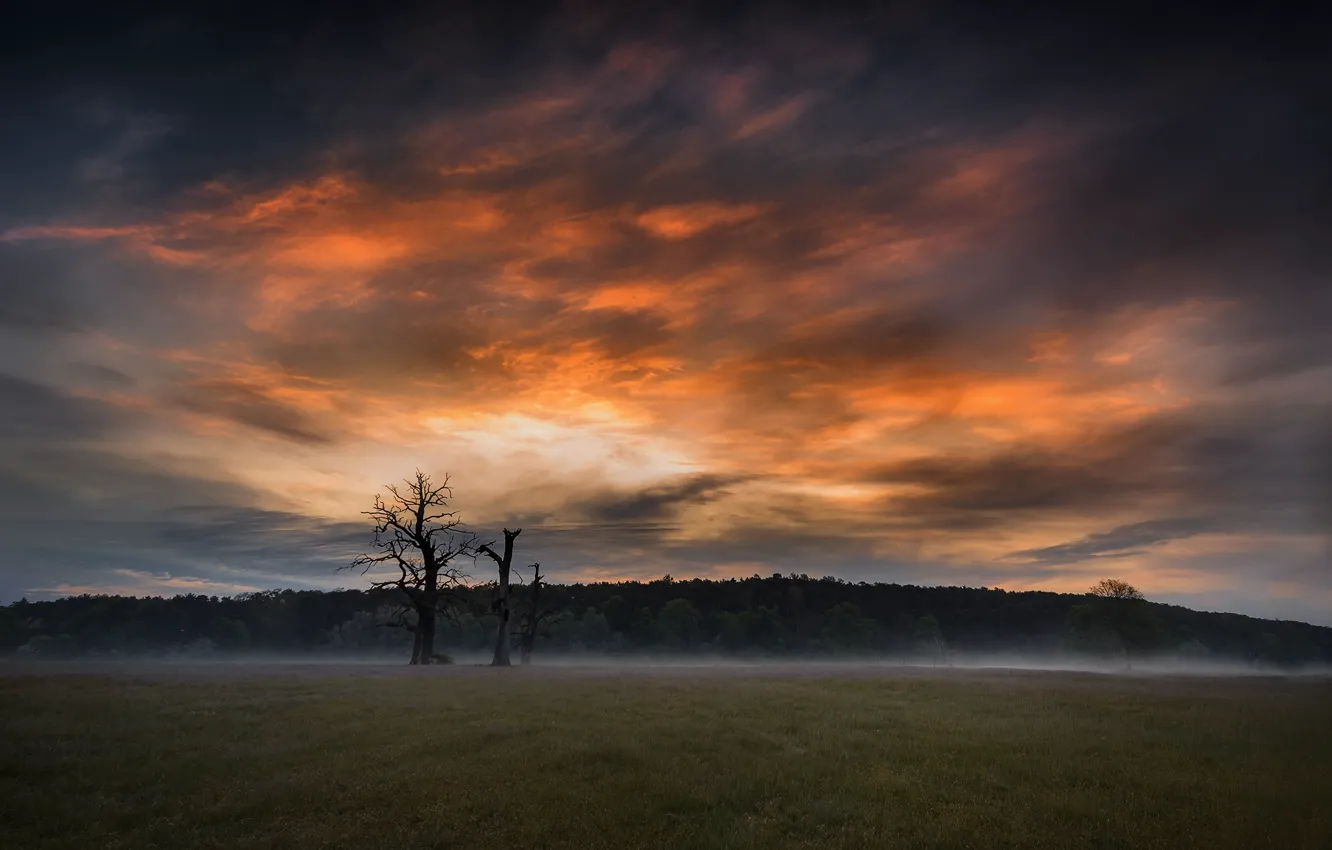 Photo wallpaper field, forest, the sky, sunset, Robert Kropacz