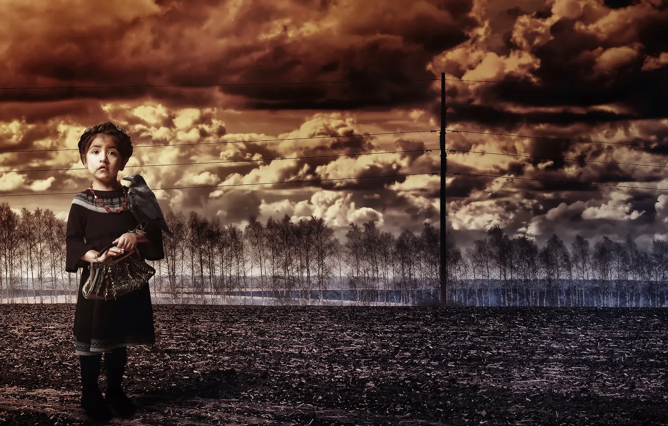 Photo wallpaper field, bird, girl