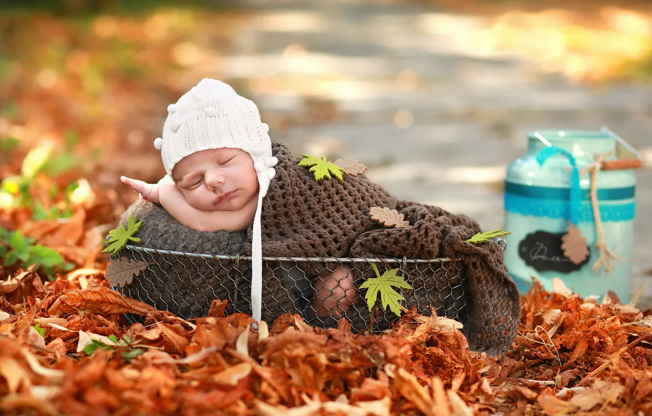 Photo wallpaper mood, basket, baby