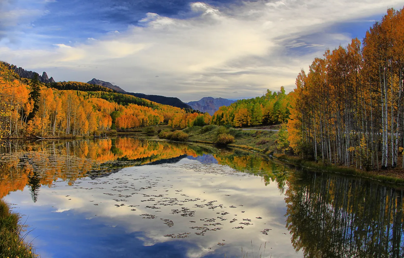 Photo wallpaper autumn, clouds, trees, landscape, nature, time of the year