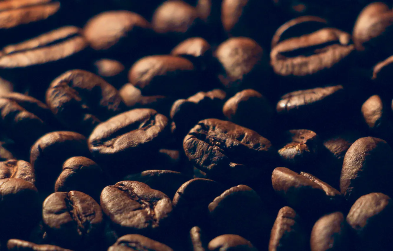 Photo wallpaper coffee, grains, scattered