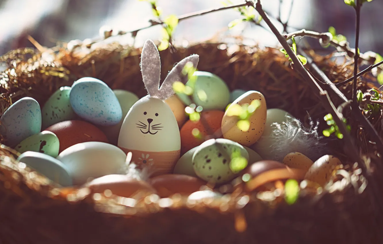 Photo wallpaper light, branches, toy, eggs, spring, rabbit, muzzle, Easter
