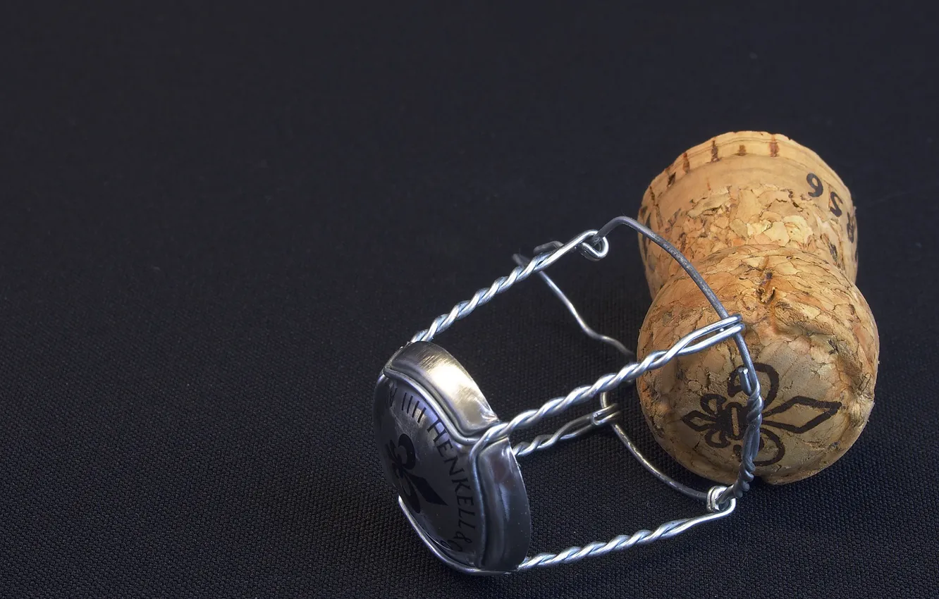 Photo wallpaper fabric, tube, black background, champagne, muzzle