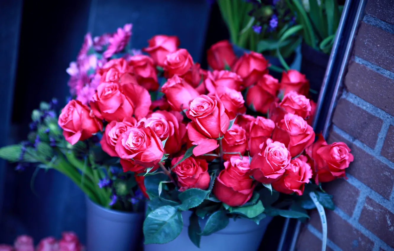 Photo wallpaper wall, roses, bucket