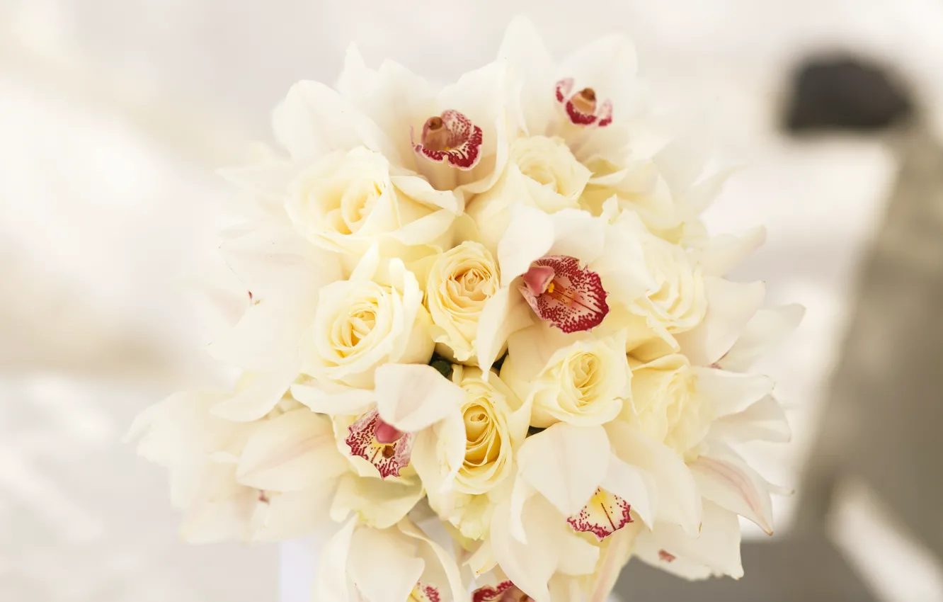 Photo wallpaper flowers, roses, bouquet, white, orchids