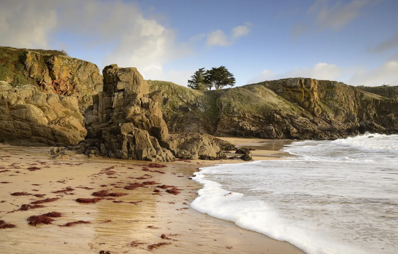 Photo wallpaper sea, landscape, shore