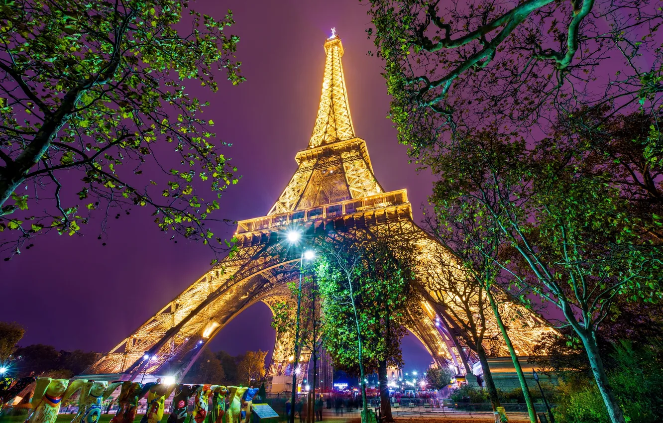 Photo wallpaper trees, night, lights, Paris, people, tower, the evening
