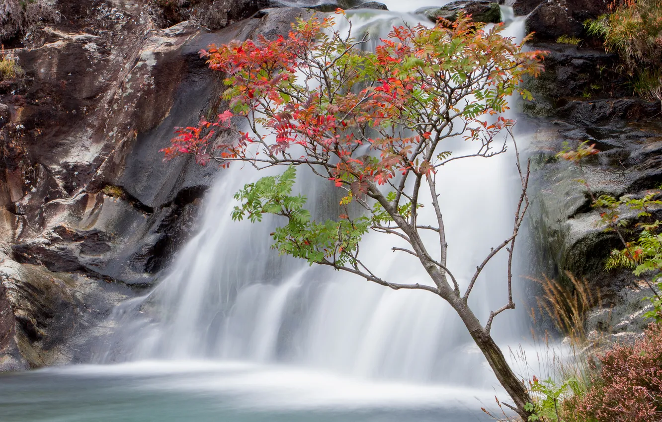 Photo wallpaper autumn, leaves, tree, rocks, waterfall