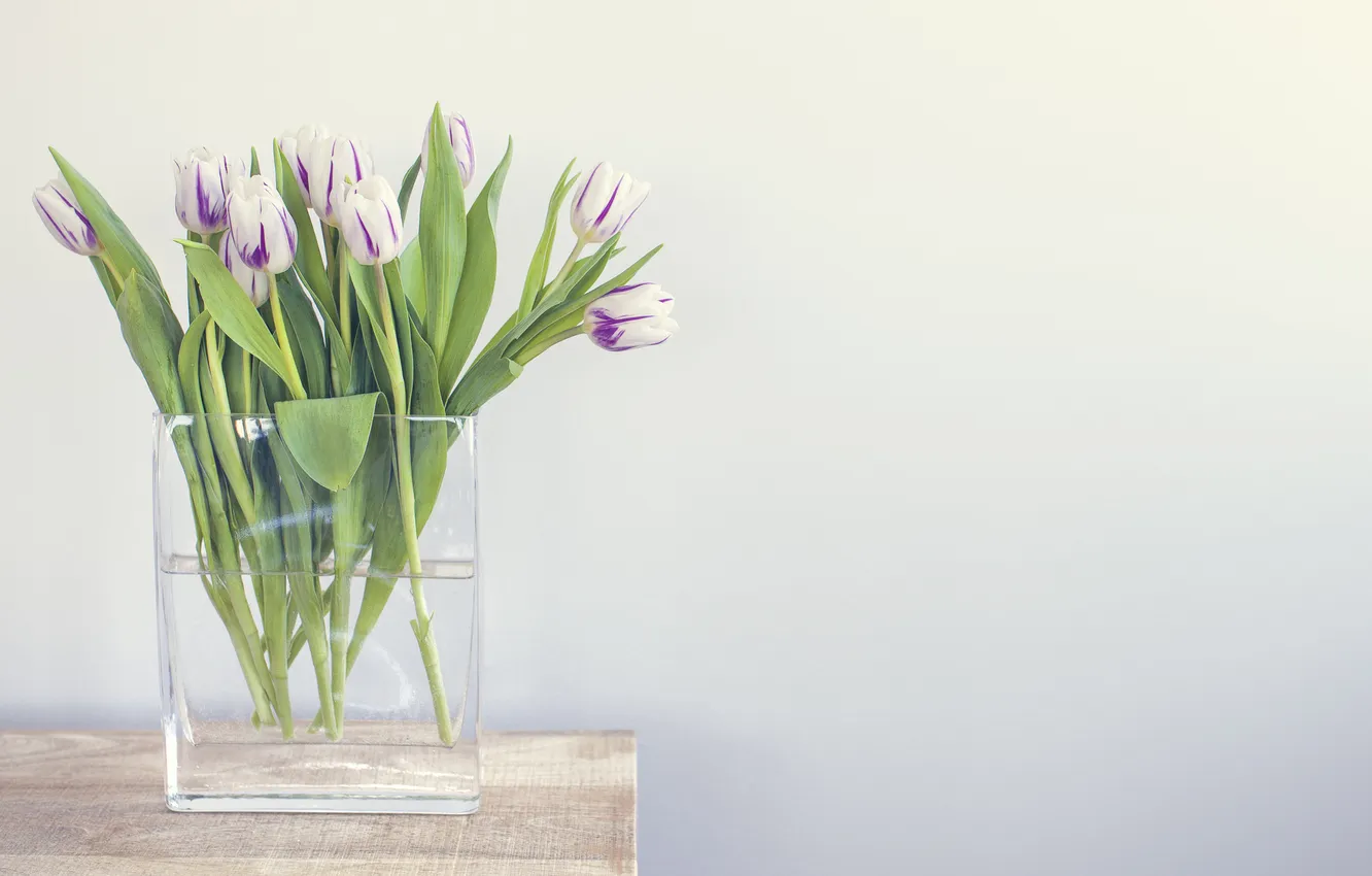 Photo wallpaper water, wall, tulips, vase