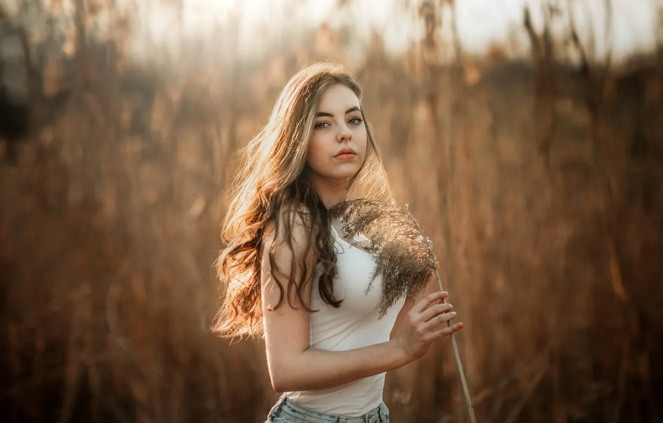 Photo wallpaper field, grass, look, the sun, model, portrait, jeans, makeup