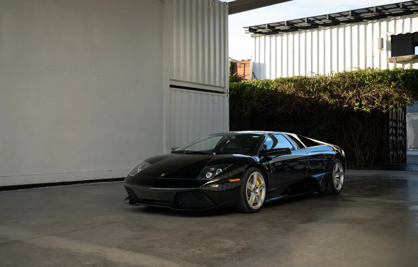 Photo wallpaper Lamborghini, supercar, Murcielago, Lamborghini Murcielago LP640