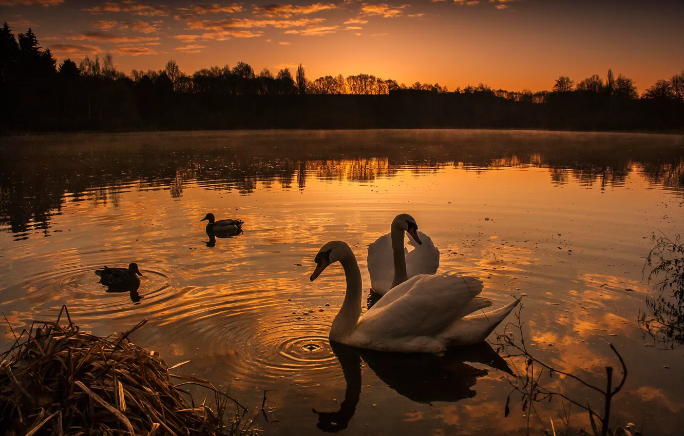 Photo wallpaper water, clouds, landscape, sunset, nature, lake, pond, reflection