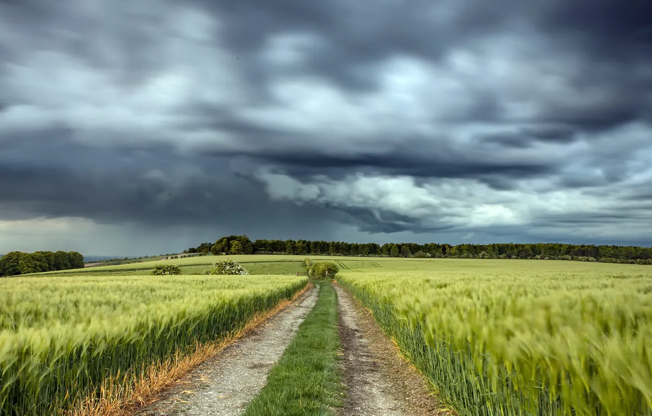 Photo wallpaper road, field, the sky