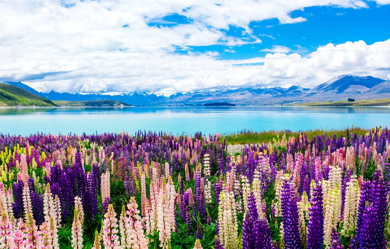 Photo wallpaper field, purple, summer, clouds, flowers, mountains, orange, yellow