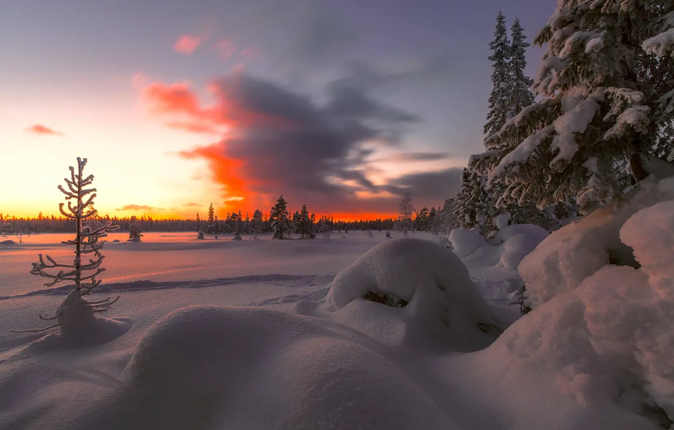 Photo wallpaper winter, forest, snow, trees, landscape, sunset, nature, ate