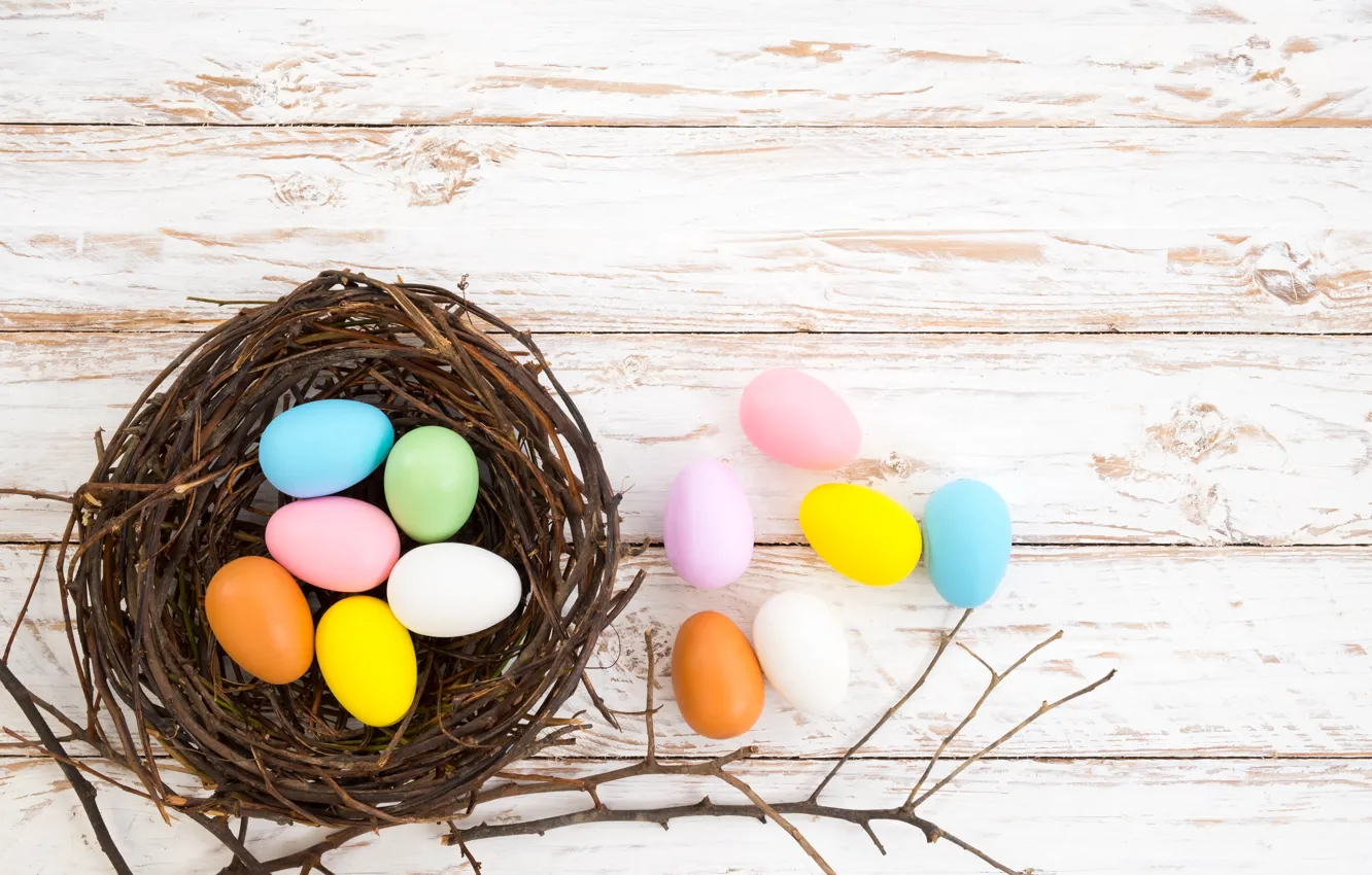 Photo wallpaper branches, holiday, eggs, Easter, socket
