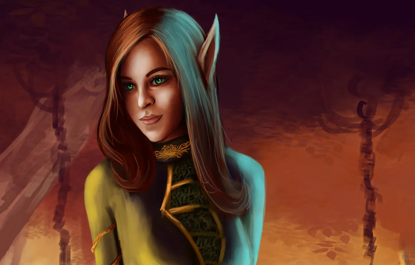 Photo wallpaper girl, art, elf, ears