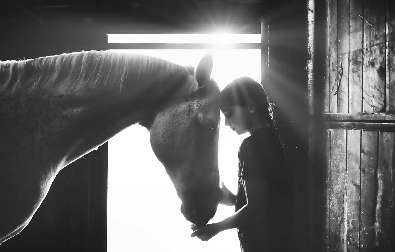 Photo wallpaper light, horse, girl, light, girl, horse, Alessandro Cereda