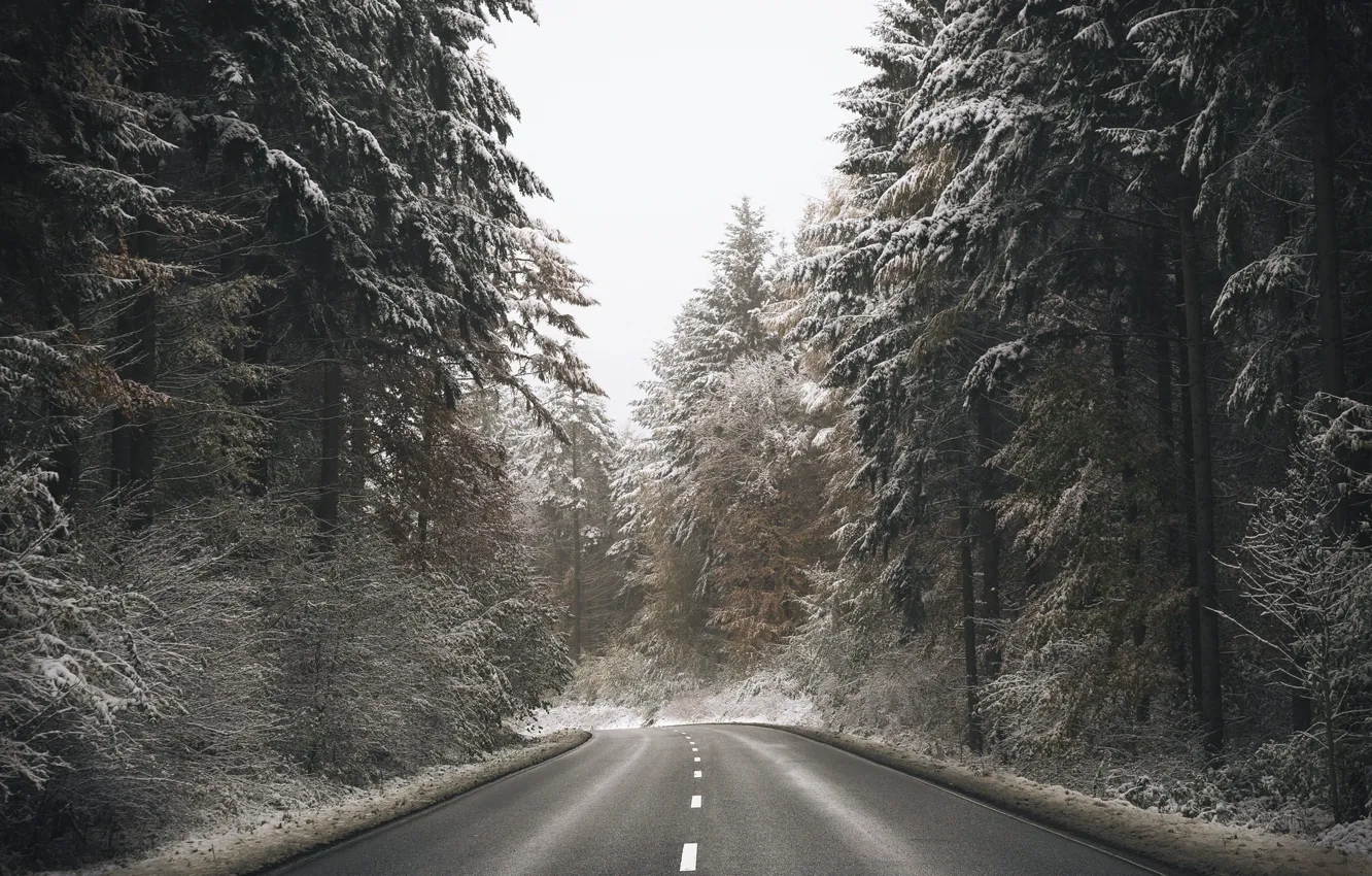 Photo wallpaper winter, road, forest