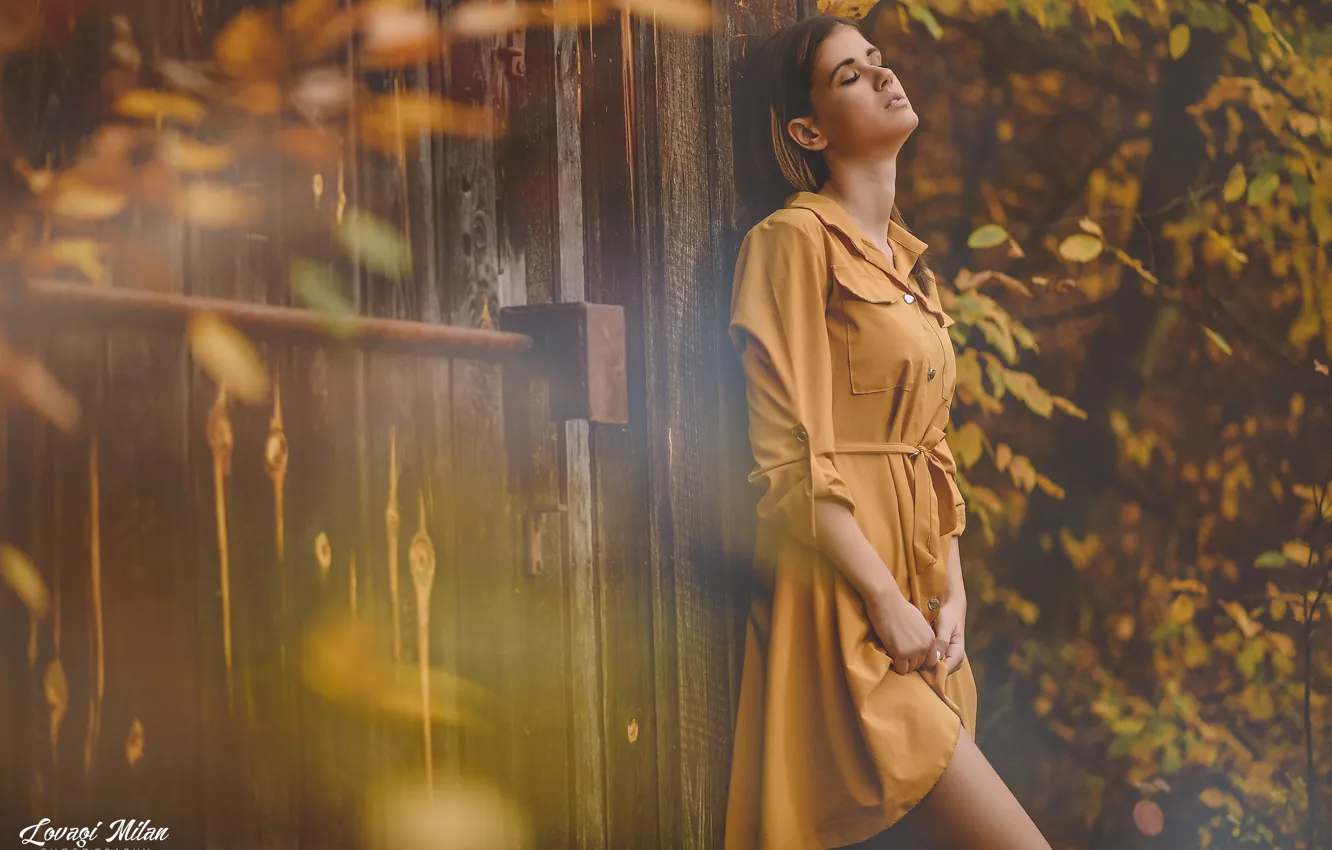 Photo wallpaper autumn, girl, nature, pose, model, dress, Lovagi Milаn