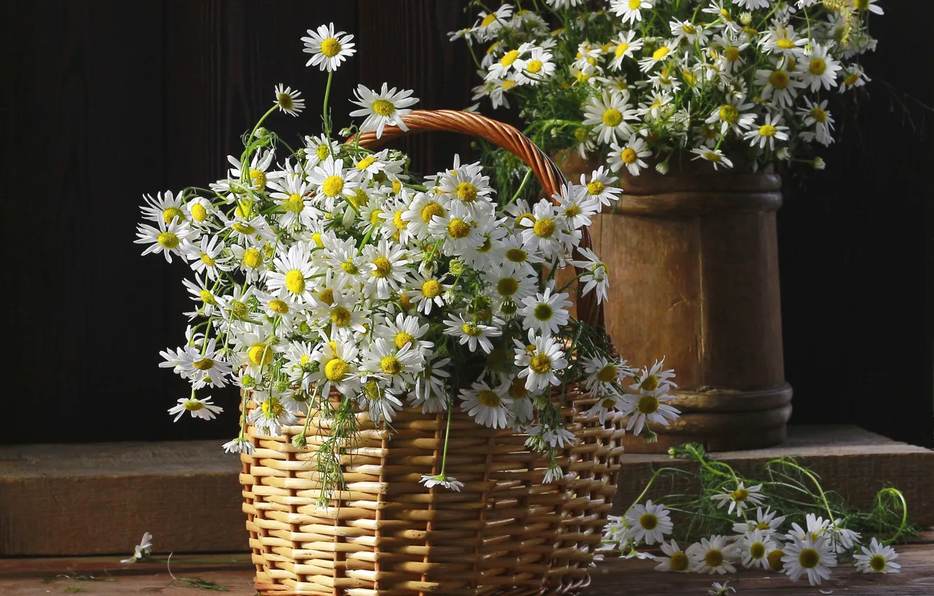 Photo wallpaper flowers, Board, chamomile, bouquet, white, still life, basket, a lot