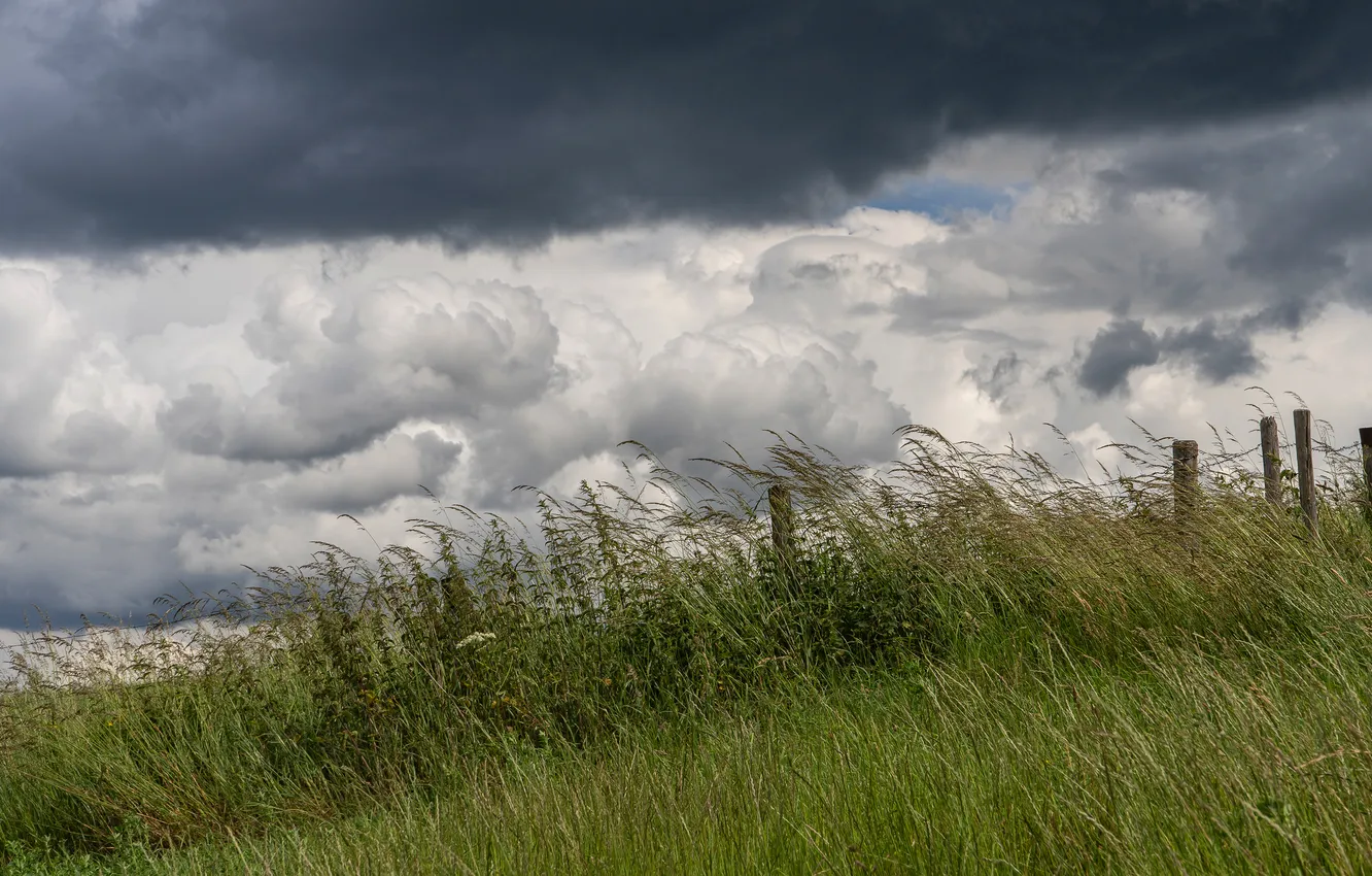 Photo wallpaper grass, clouds, clouds, the fence