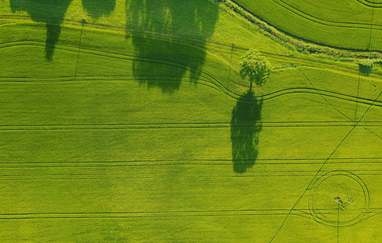 Photo wallpaper road, field, summer, trees, green field