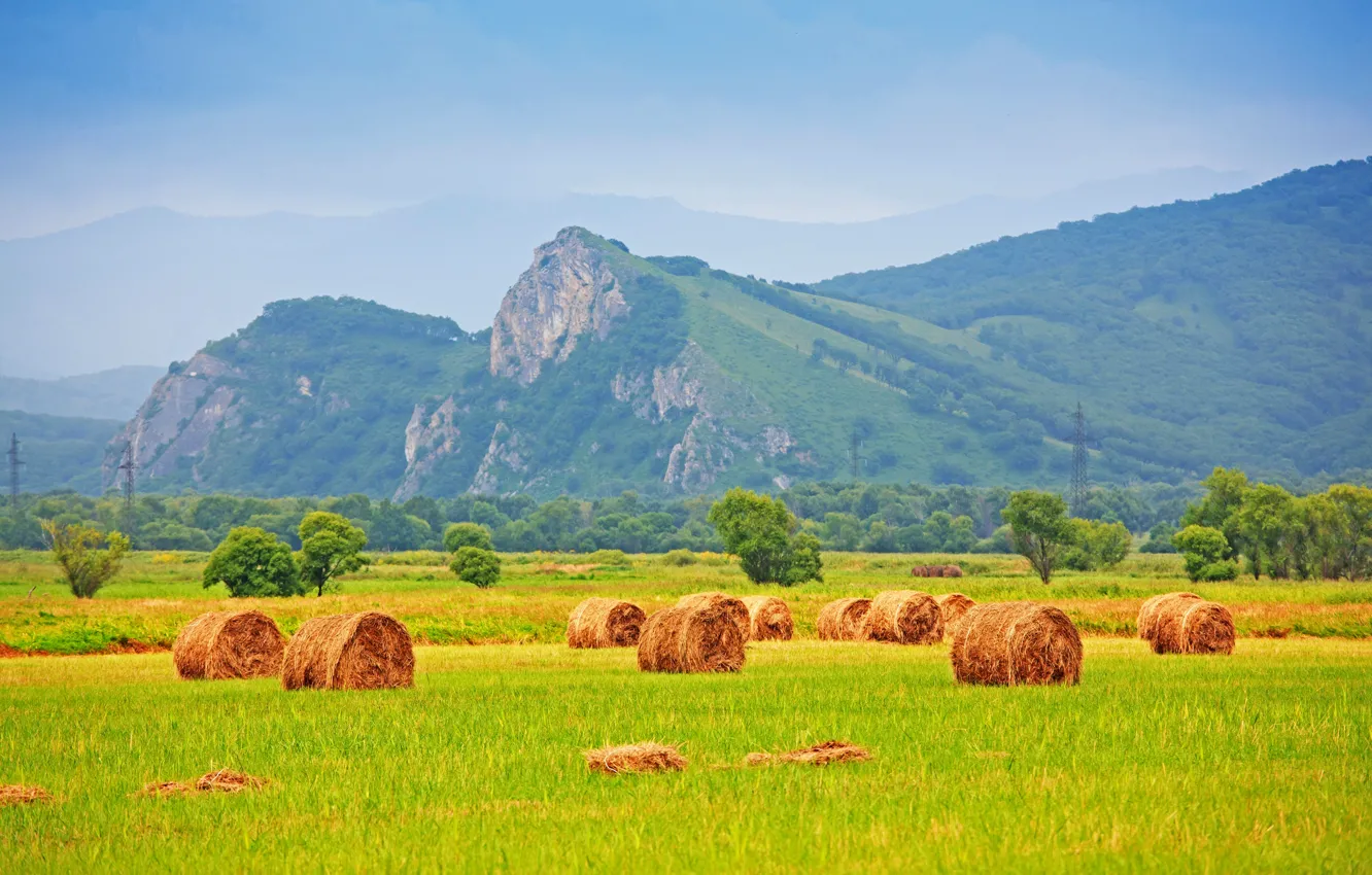 Photo wallpaper field, grass, trees, mountains, nature, stack, hay, straw