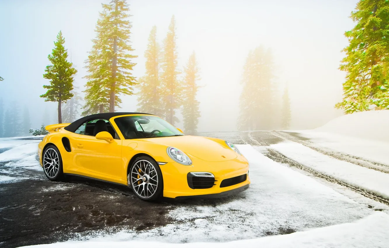Photo wallpaper Road, Yellow, Porsche, Snow, Spruce, Porsche, Supercar, Snow