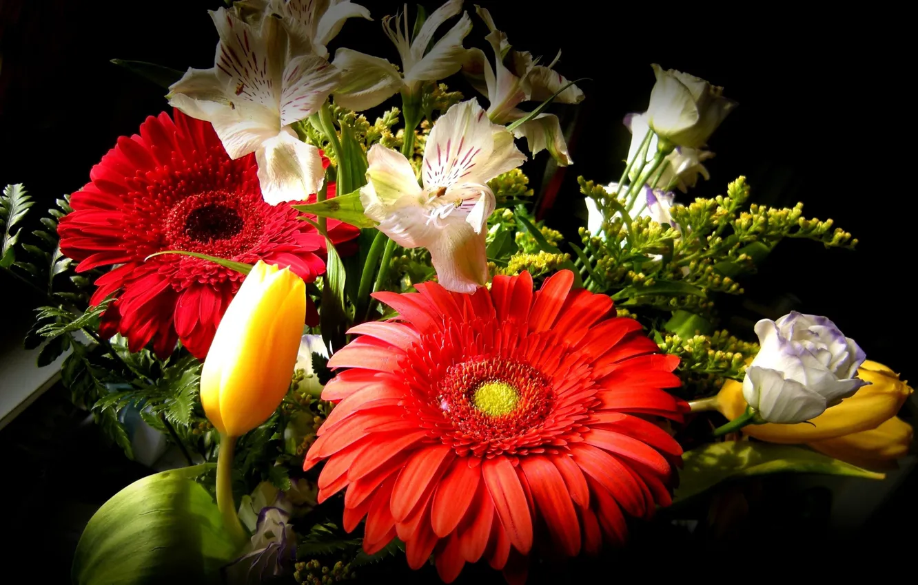 Photo wallpaper flowers, photo, gerbera