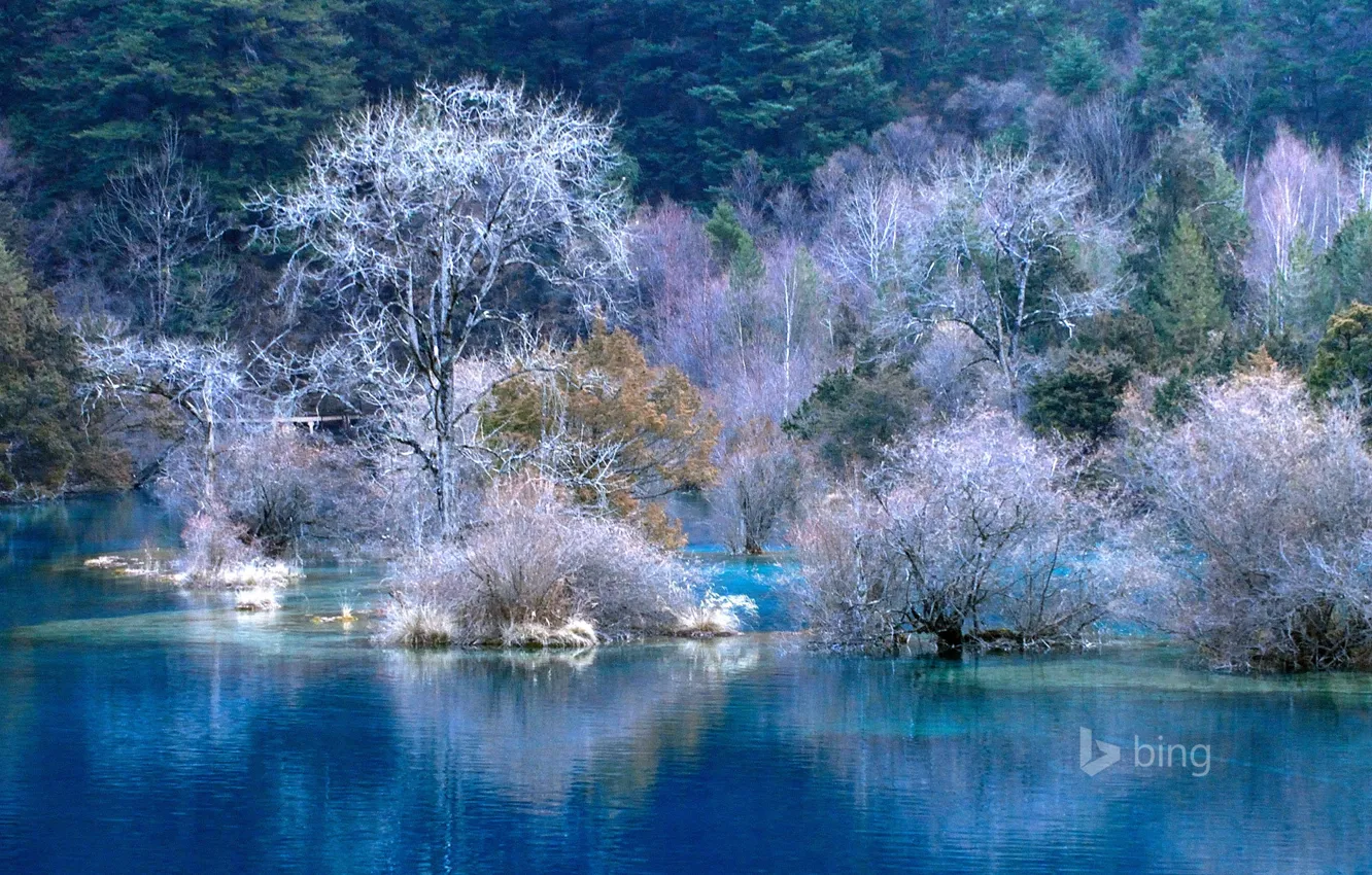 Photo wallpaper winter, frost, forest, water, trees, landscape, river, Wallpaper