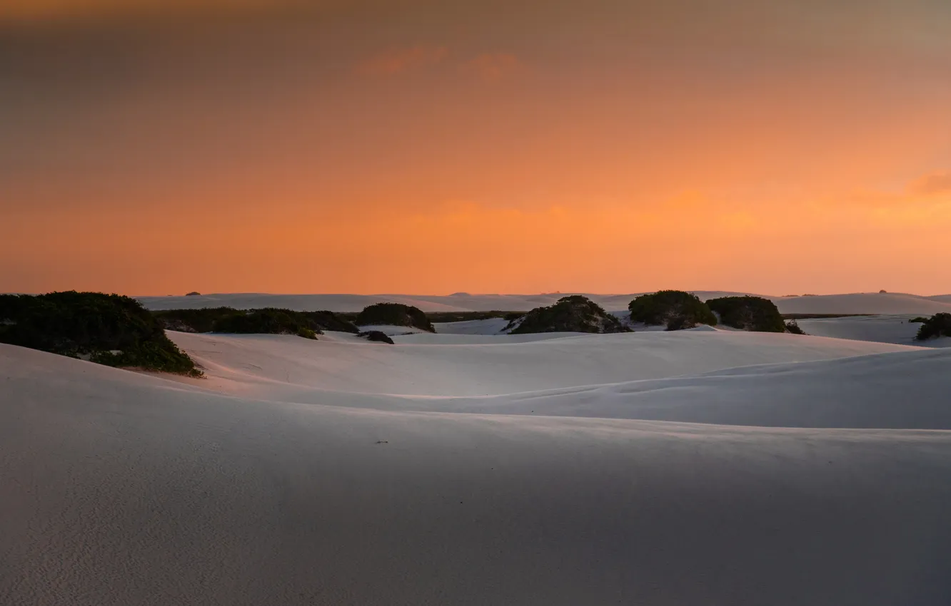 Photo wallpaper sunset, horizon, dunes, Brazil, the bushes, Maranhao, orange sky