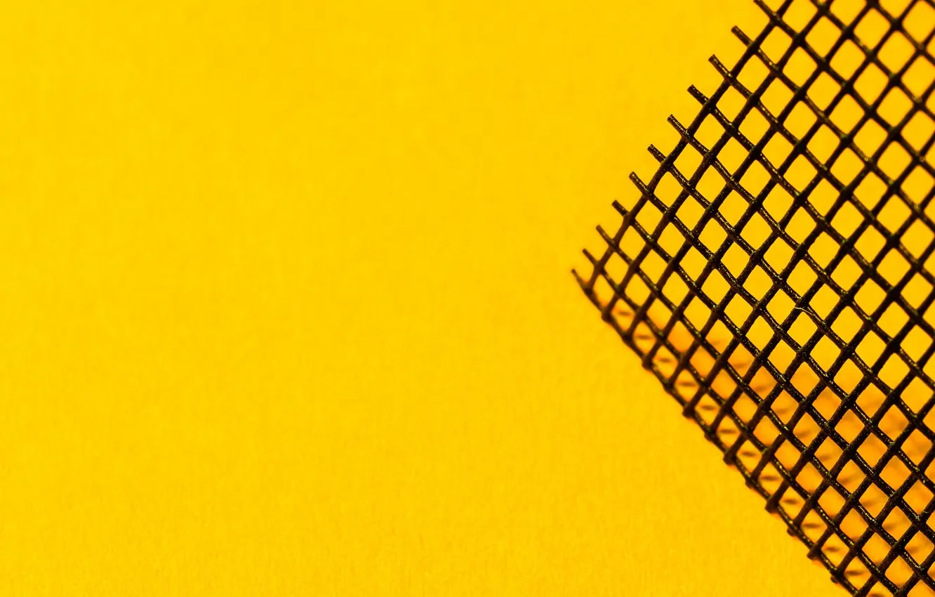 Photo wallpaper color, texture, form