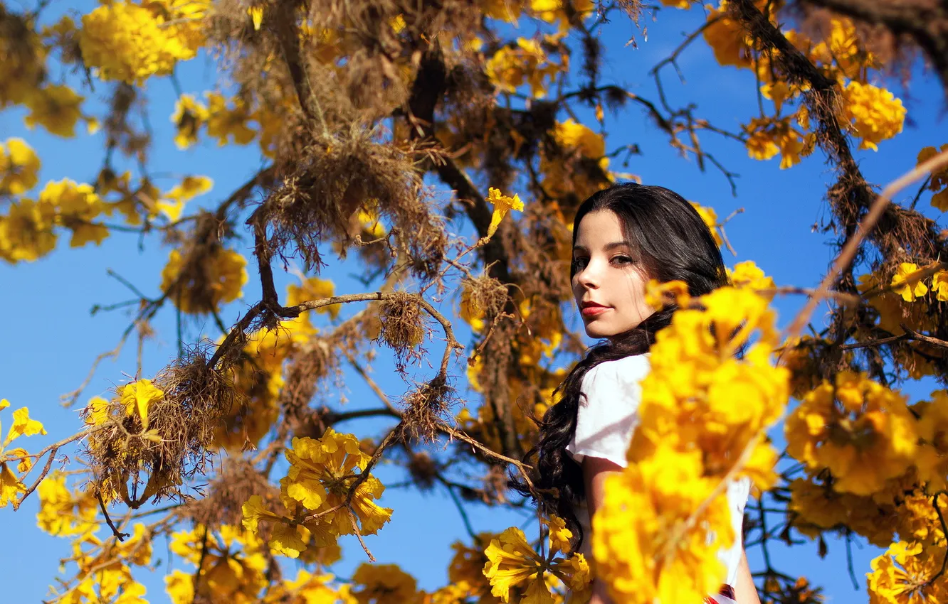 Photo wallpaper autumn, girl, tree