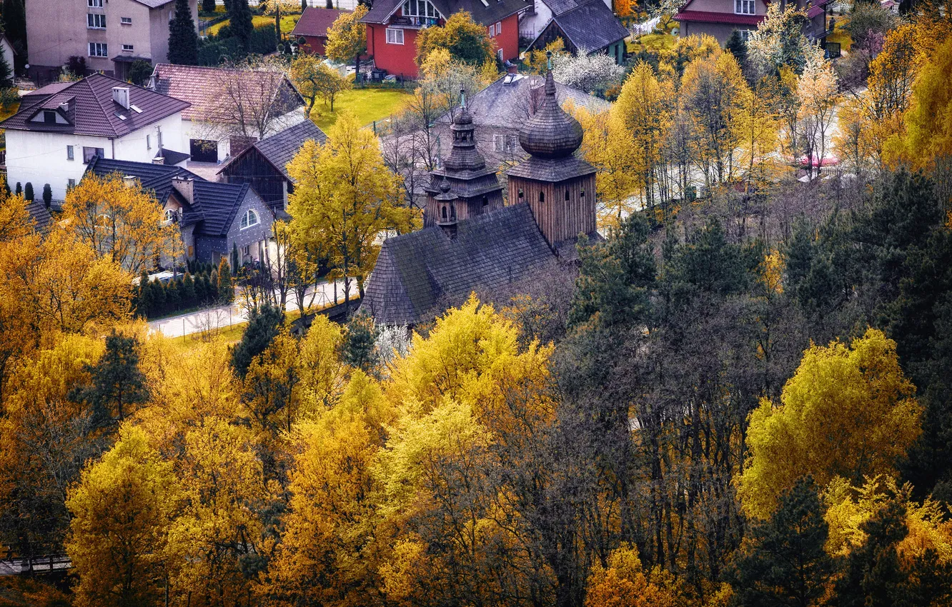 Photo wallpaper autumn, trees, the city, home, Poland