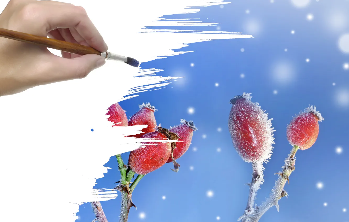 Photo wallpaper frost, snow, berries, hands, brush