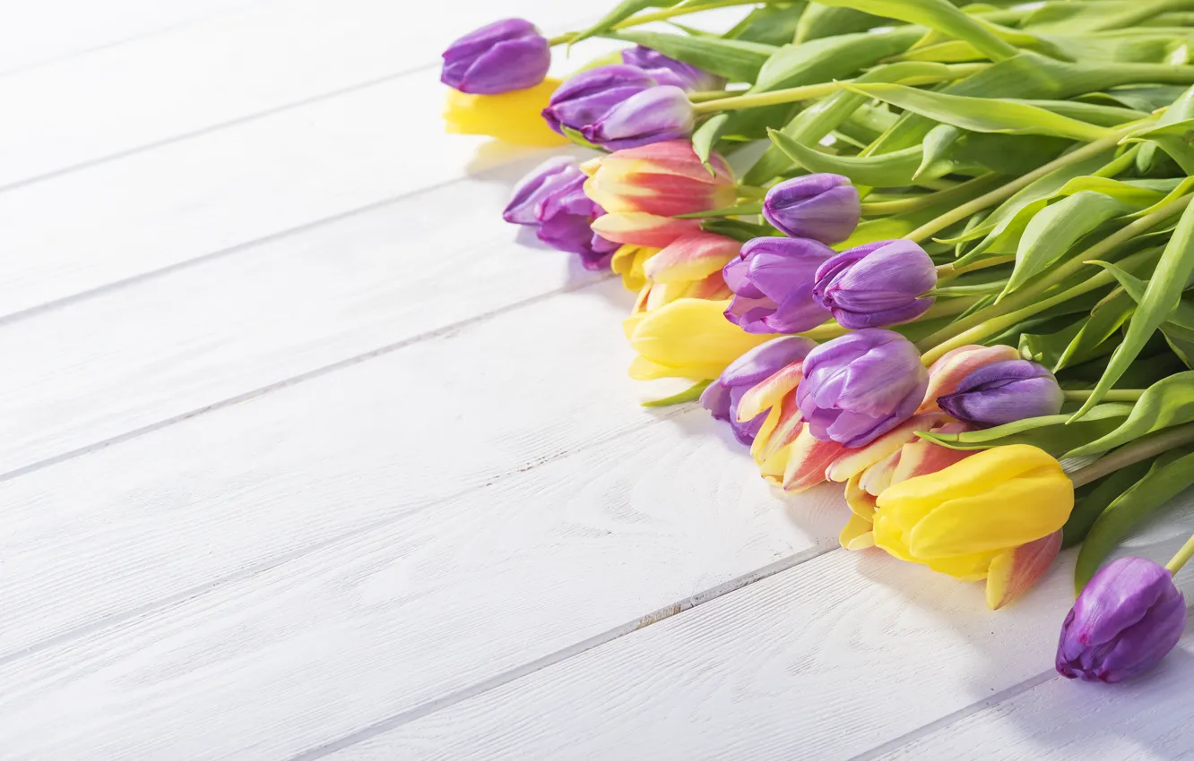 Photo wallpaper table, bouquet, tulips, color