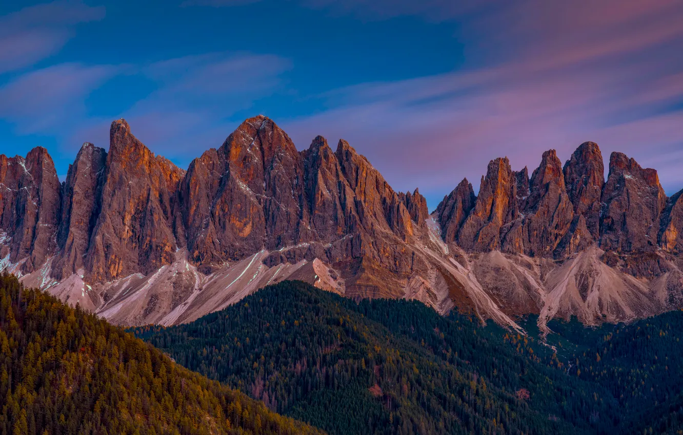 Photo wallpaper Dolomites, mountains, trees, rocks, Italy, forest