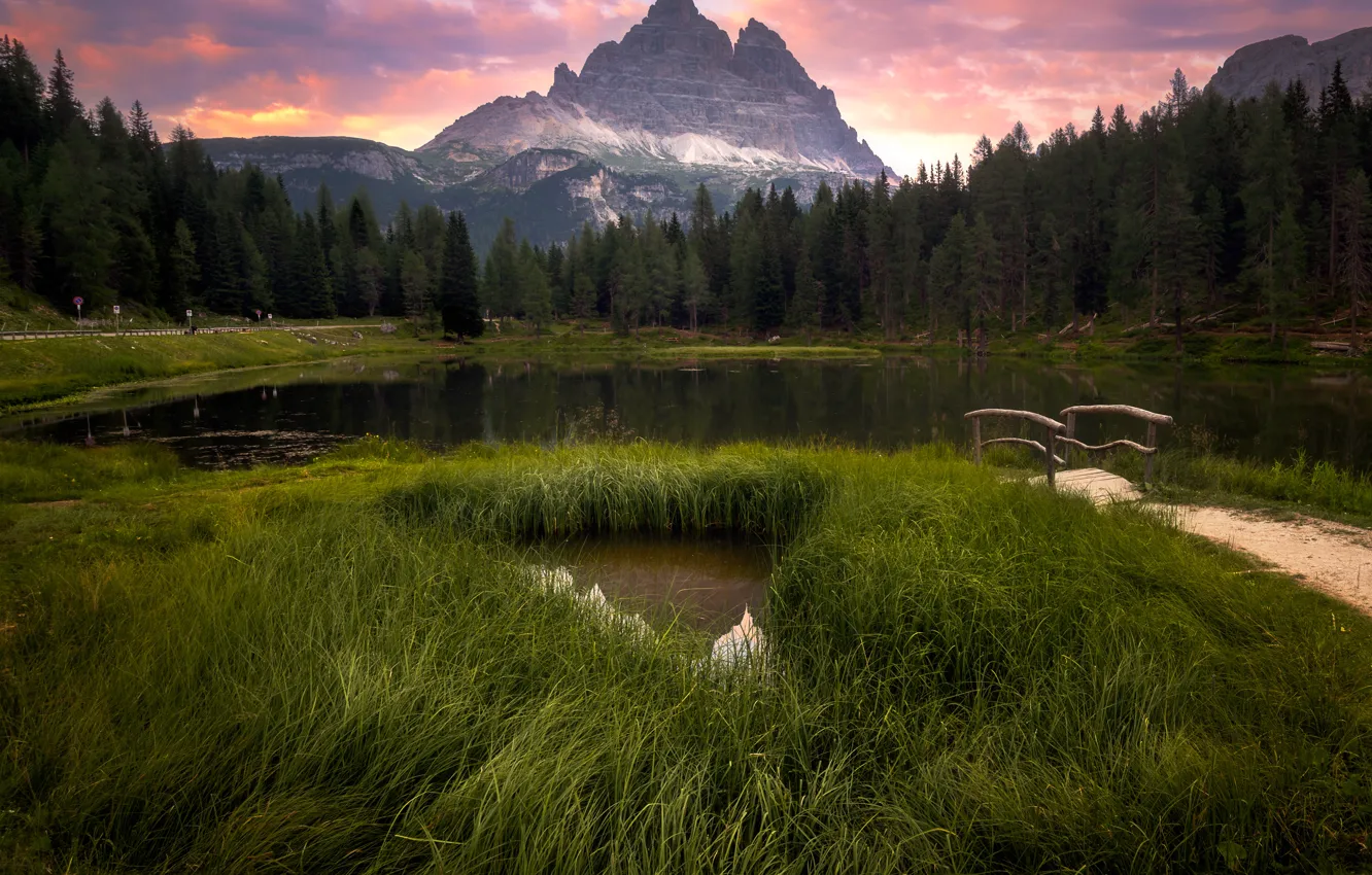 Photo wallpaper forest, grass, mountains, lake, shore, Alps, the bridge